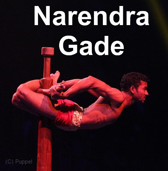 D_0353_A_Narendra Gade.jpg